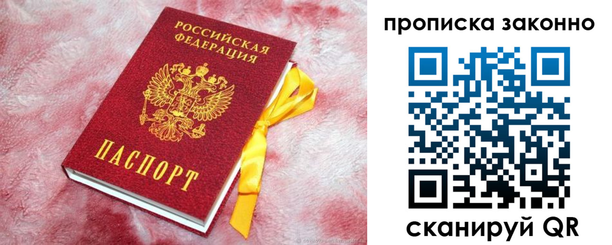 временная регистрация поиск в Ельне